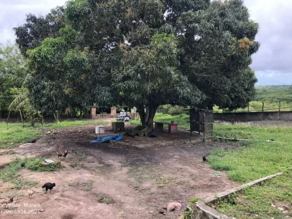 Imagem Lote de terreno no Socorro: Espaço amplo de 1200m²!