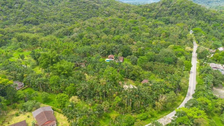 Imagem Chácara 81.756,00 m2 Porto de Cima