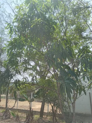 Imagem Chácara à Venda, 1.999 m² em Condomínio Estância Da Cachoeira - Brumadinho