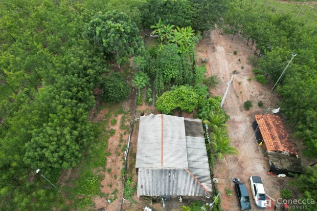Imagem Fazenda em Centro, Presidente Olegário/MG
