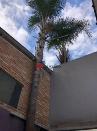 Imagem Casa para locação, 2 Salas, 3 vagas, 455m², Centro, São Caetano do Sul, SP
