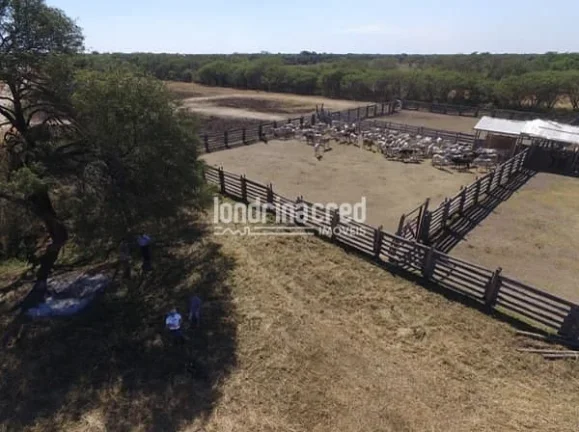 Imagem Fazenda San Justino no Chaco Paraguaio com valor de 900 dólares por hectare, totalizando 12.289 hectares.