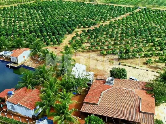 Imagem Fazenda produtiva de mangas à venda com 12,5 ha, PETROLINA - PE