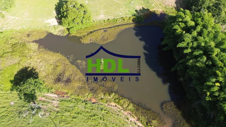 Imagem Fazenda de 1ª com 155 Hectares prox. à Goiânia.