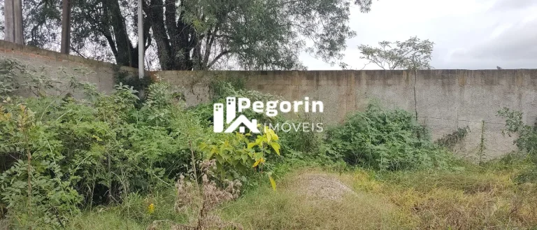 Imagem Terreno bairro Guatupê, São José dos Pinhais/PR