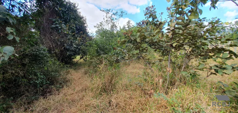 Imagem TERRENO TEMPORADA em ESMERALDAS - MG, ESMERALDAS/QUATI
