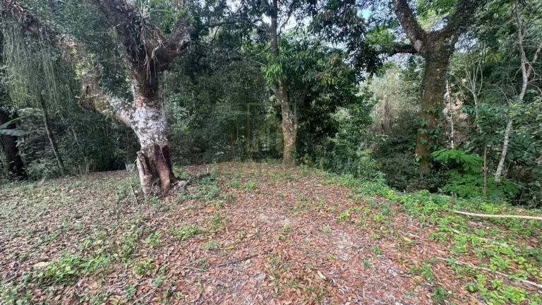 Imagem Chacara com 3 mil metros - Canindu