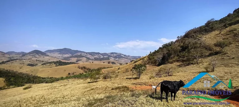 Imagem Oportunidade Única para Construir o Sítio dos Seus Sonhos!
