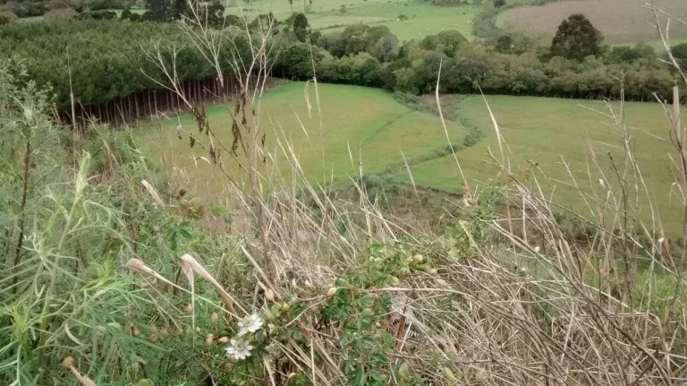 Terreno na Serra Catarinense: 128.494m² em Bom Retiro-SC, Escritura Pública, Imperdível!