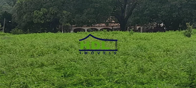 Imagem Fazenda 240 Alqs Dupla Aptidão em Peixe TO