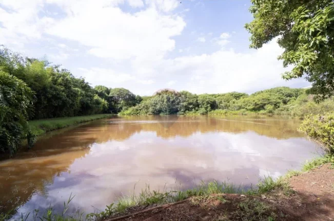 Imagem Fazenda à Venda, 830.000 m² em Jardim Do Carmo - Araraquara