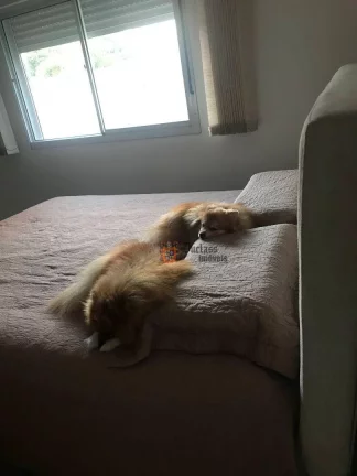 Imagem Casa com 3 dormitórios à venda, 153 m² por R$ 1.300.000 - Terras de Atibaia II - Atibaia/SP