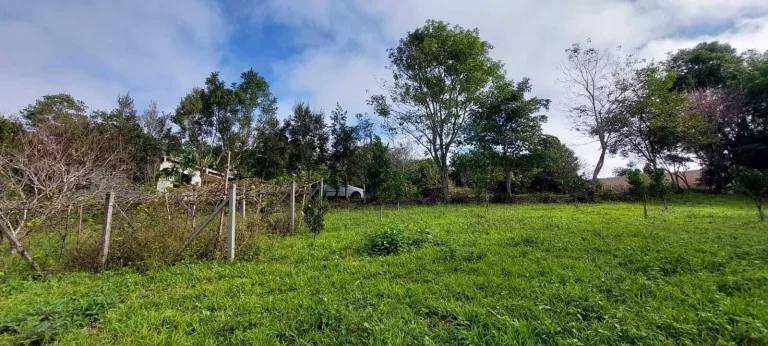 Imagem Chácara à venda em Campo Largo/PR