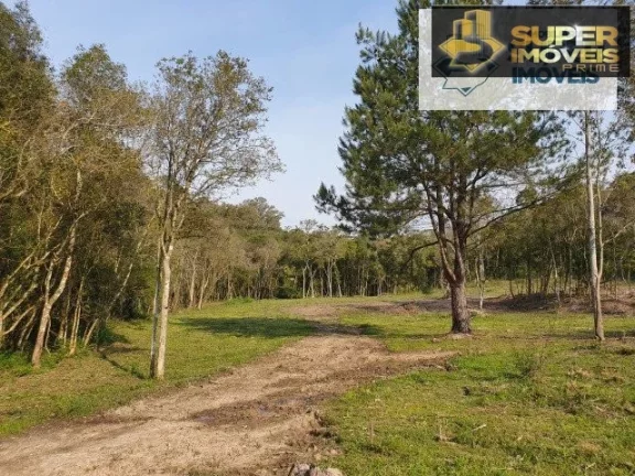 Imagem Chácara 3 hectares para Venda na BR em Cascata Pelotas-RS