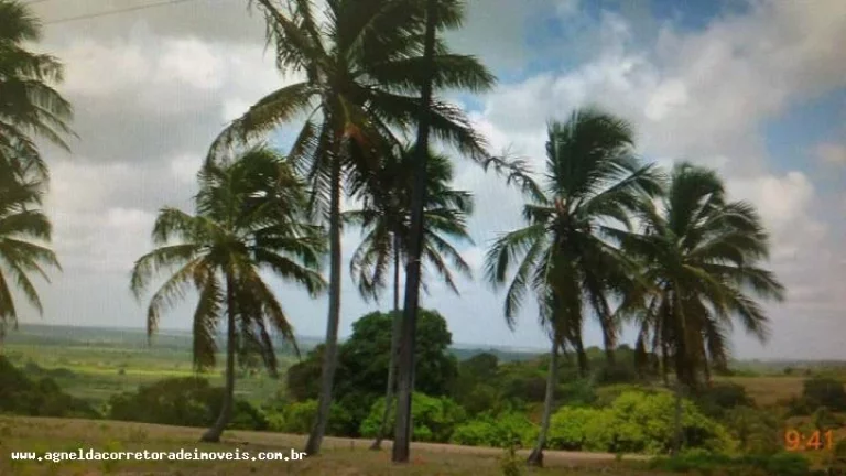 Imagem Fazenda para Venda em Extremoz, capim -extremoz, 3 dormitórios, 1 suíte, 2 banheiros, 6 vagas