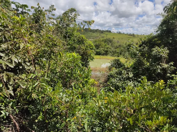 Imagem Chacara De Lazer A 50 Km De Caldas Novas Em Santa Cruz De Goias