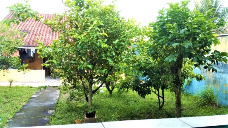 Imagem Casa de 2 dormitórios à venda no Jardim Primavera-Iguape/SP