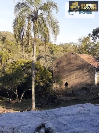 Imagem Chácara para Venda em Centro Cerrito-RS - 1591