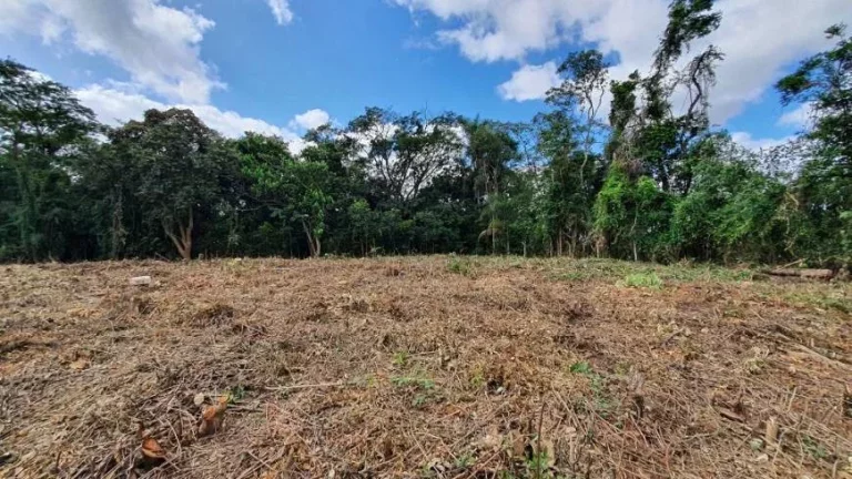 Imagem Terreno à venda, 3.203 m² por R$ 700.000 - GRANJA VIANA – PARQUE PRIMAVERA