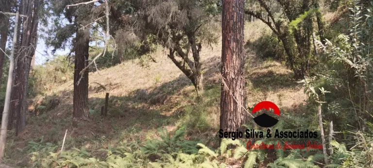 Imagem Terreno a Venda na Região do Alto da Boa Vista em Campos do Jordão -SP.