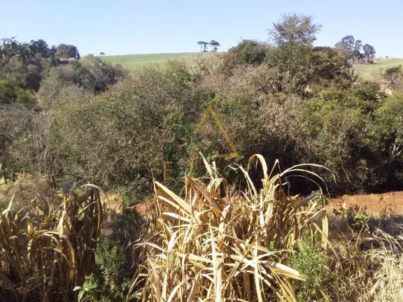 Imagem TERRENO CANTAGALO - PR