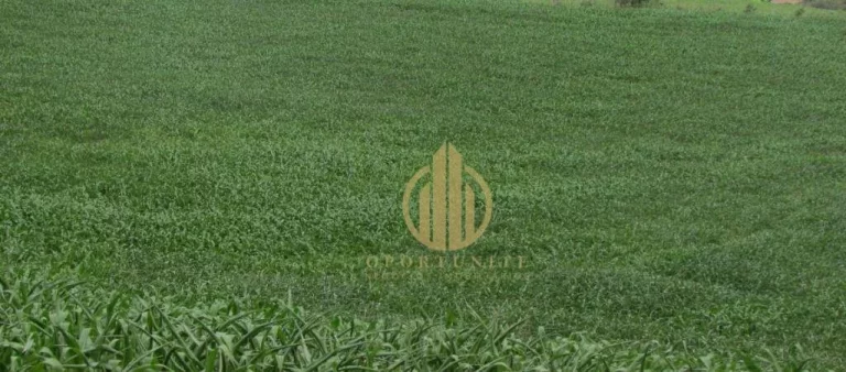 Imagem Terreno de ilha no Vivendas da Mata - Portal Jatobá - 300 m² por R$ 300.000 - Distrito de Bonfim Paulista - Ribeirão Preto/SP