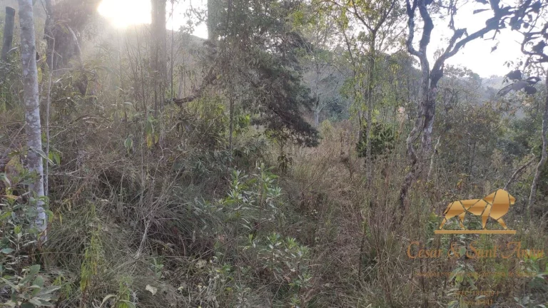 Imagem Terreno a venda nas montanhas de Campos do Jordão-SP