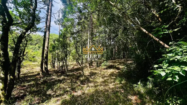 Imagem Chácara - Sítio com 2 Dormitorio(s) localizado(a) no bairro Padre Eterno Ilges em Santa Maria do Herval / RIO GRANDE DO SUL Ref.:1611