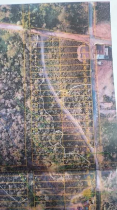 Imagem Terreno à venda, 250 m² por R$ 150.000,00 - Vila São Paulo - Mogi das Cruzes/SP