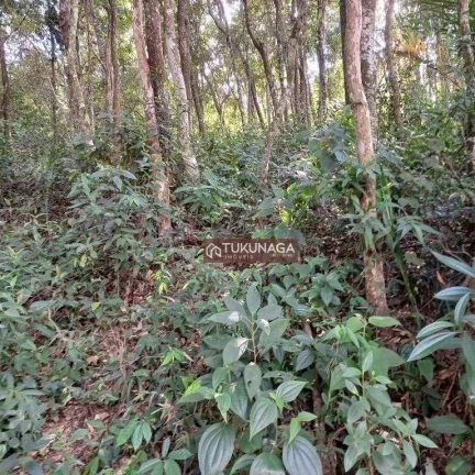 Imagem Condomínio Fechado - Terreno à venda, 1000 m² por R$ 250.000 - Condomínio Canadá Village - Mairiporã/SP