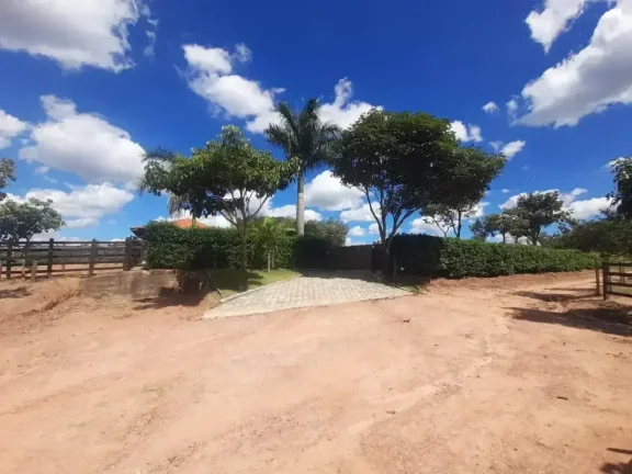 Imagem Fazenda à venda em Ibertioga, ZONA RURAL, 148ha