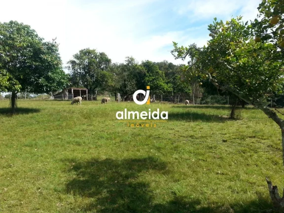 Imagem Chácara 2 dormitórios à venda Zona rural Santa Maria/RS