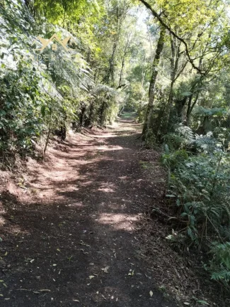 Imagem Chácara Exclusiva com 48mil m² à Venda à poucos minutos de Curitiba em Colombo-PR, Bairro Arruda: