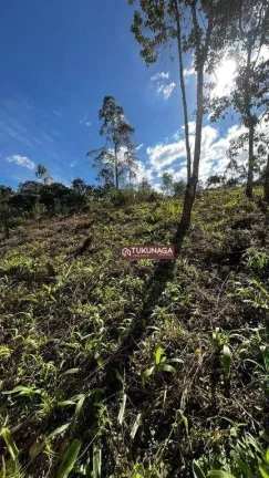 Imagem Terreno à venda, 1000 m² por R$ 110.000,00 - Rio Acima - Mairiporã/SP