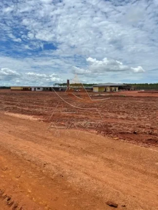 Imagem Fazenda - João Pinheiro - João Pinheiro