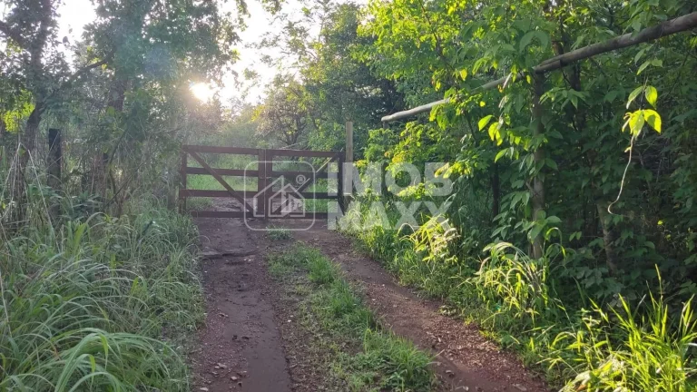 Imagem Núcleo Rural Euller Paranhos - Chácara de 28000 m² - Formada vista livre com muita mata virgem.