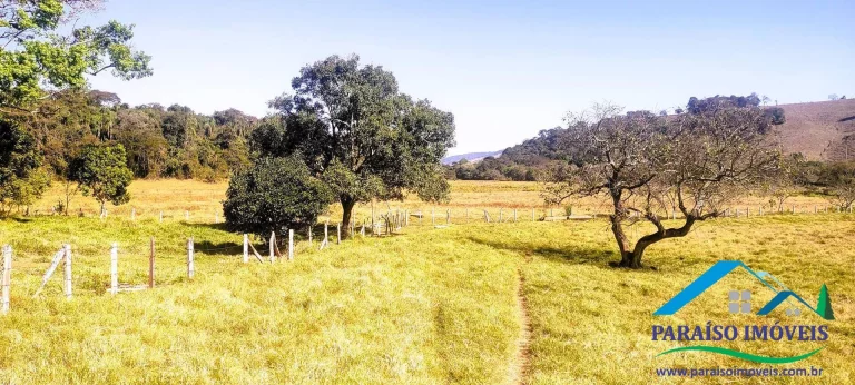 Imagem Fazendinha Completa à Venda em Paraisópolis: 56,9 hectares