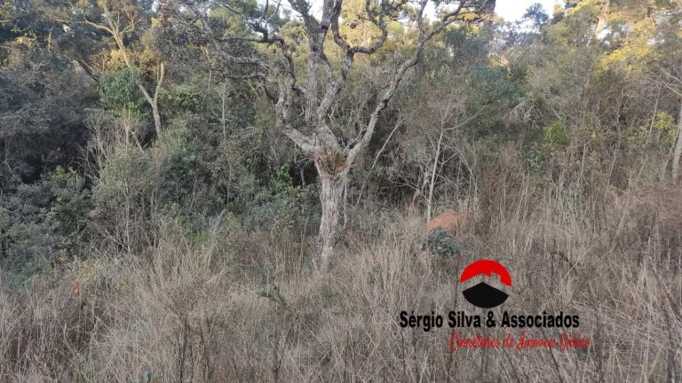 Imagem Terreno a venda na região do Descansópolis em Campos do Jordão - SP