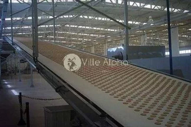 Imagem INDUSTRIA DE BISCOITOS FABRICA TODA LINHA DE BISCOITOS RECHEADOS, 1.300 KG / HORA 80 MIL CAIXAS MES ...