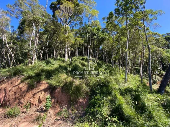 Imagem Terreno à venda, 4200 m² por R$ 550.000,00 - Comary - Teresópolis/RJ