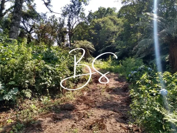 Imagem CHACARA RURAL em IGREJINHA - RS, Serra Grande