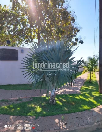 Imagem Chácara à venda 1200M², Parque das Grevíleas, Maringá - PR