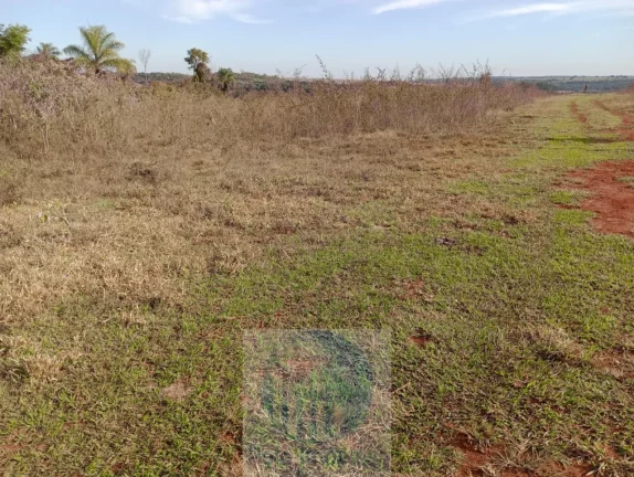 Imagem Sítio vende 10 alqueires em Altinópolis - SP, terra de cultura, vermelha e em pasto.