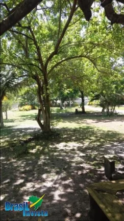 Imagem LINDA ÁREA EM CABRÁLIA