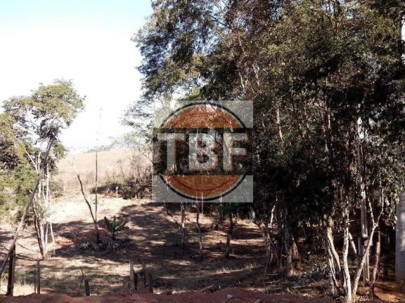 Imagem Terreno de frente para a Dutra em Santa Isabel