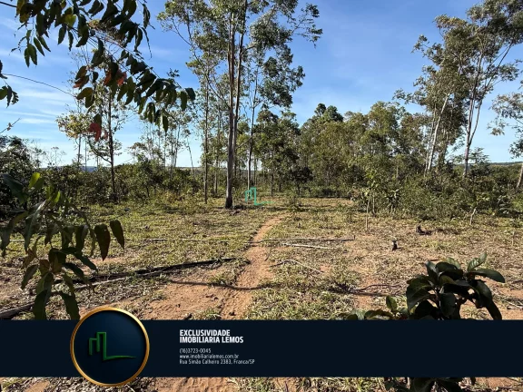 Imagem OPORTUNIDADE ÚNICA - FAZENDA Á VENDA EM PEIXOTO/LAGE (IBIRACI/MG) COM 92 ALQUEIRES