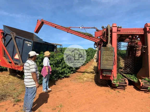 Imagem Fazenda de Café à Venda na Região do Alto Paranaíba - Minas Gerais