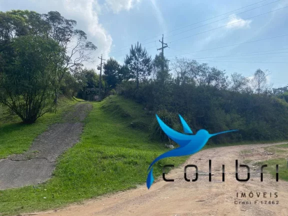 Imagem Terreno à Venda, 730 m² em Quatro Pinheiros - Mandirituba