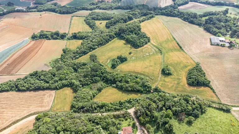 Imagem Chácara com 6 alqueires em Campo Magro