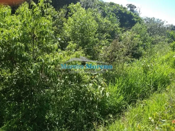 Imagem Imóvel à Venda, 8 m² em Zona Rural - Borda Da Mata